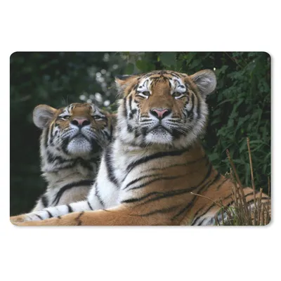 Produktbild von MuchoWow® Mauspad Mousepad Tiger - Wald - Köpfe 27x18 cm - Mousepads - Maus Mat - Pad - Mausunterlage - Büroartikel - Desk Matten