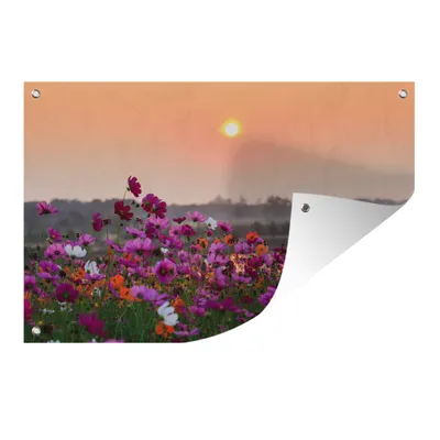 Obrázek produktu pro MuchoWow® Zahradní plakáty - Květiny - Podzim - Slunce - 80x120 cm - Zahradní dekorace