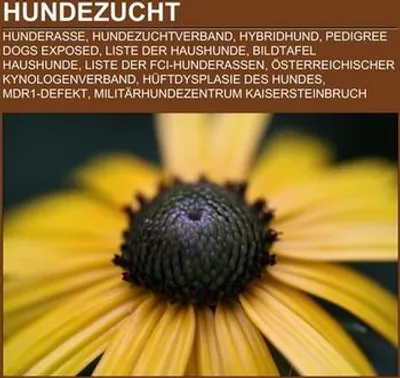 Immagine prodotto di Hundezucht