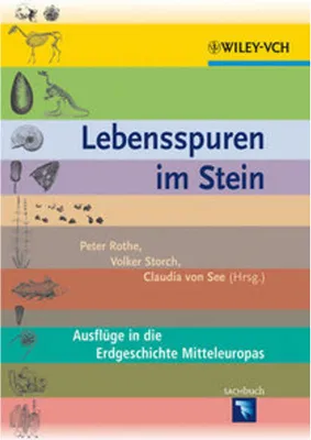 Produktbild von Lebensspuren im Stein