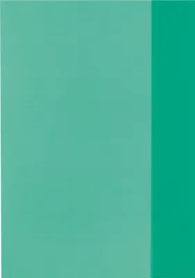 Produktbild von 10 Herlitz Heftumschläge / Hefthüllen DIN A5 / Farbe: transparent grün