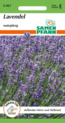 Artikelbild 1 von 'Lavendel' aus der Kategorie Lavendelsamen