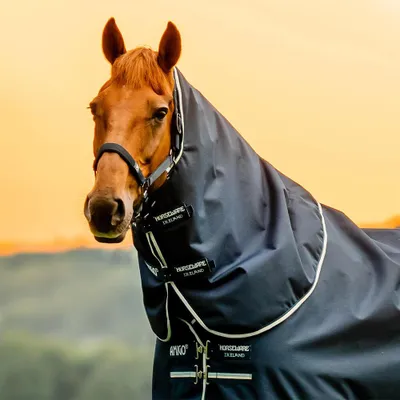 Image de Horseware Amigo Ripstop 900D Turnout Hood 150g - Taille L - Bleu