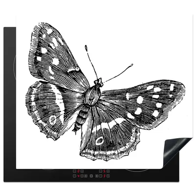 Produktbild von KitchenYeah© Herdabdeckplatte Eine schwarz-weiße Illustration eines Schmetterlings , 57x51cm, Küche Deko, Glaskeramikkochfeld Herdabdeckung, Abdeckplatte fùr Kochfeld