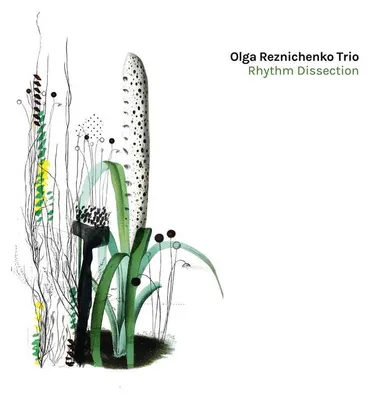 Produktbild von Rhythm Dissection