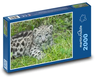 Produktbild von Puzzle 2000 Schneeleopardenjunges - martinpuzzle