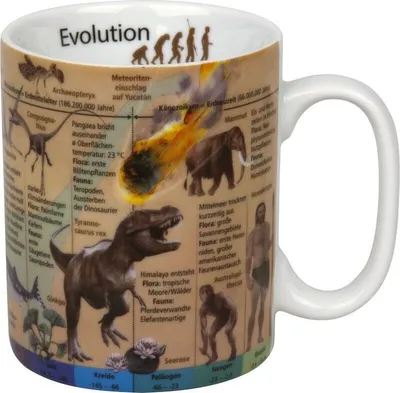 Produktbild von Könitz Tasse Wissensbecher Evolution