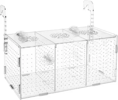 Produktbild von Famanu Kweekbox für Fische mit Saugnäpfen - Transparent, 30 x 15 x 15 cm