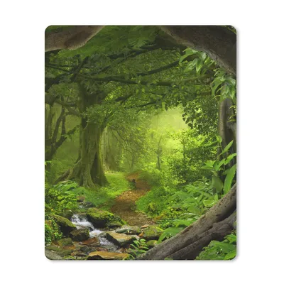 Produktbild von MuchoWow® Mauspad Mousepad Dschungel - Grün - Natur - Tropisch - Pflanzen 30x40 cm - Mousepads - Maus Mat - Pad - Mausunterlage - Mausmatten