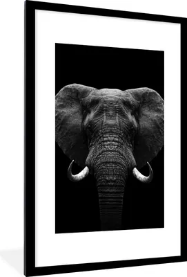 Produktbild von MuchoWow® Gerahmtes Poster Tiere - Elefant - Porträt - Schwarz - Weiß 60x90 cm - Poster mit Schwarzem Bilderrahmen Wandposter Rahmen Foto Bilder - Dekoration - Wandposter Wohnzimmer - Hochwertig
