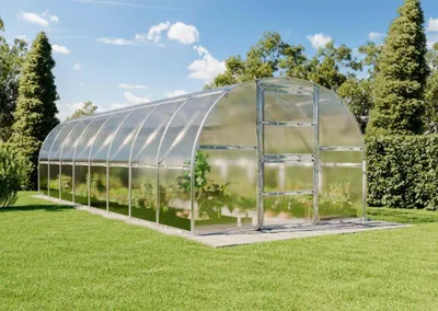 Produktbild von Terrando Gewächshaus Estragon 3x8m Gewächshaus aus Metall in Silber, Anzuchthaus mit 6 mm Wandstärke Treibhaus