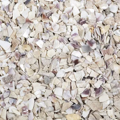 Produktbild von Muschelgranulat 2-5Mm. 1Kg. Natur