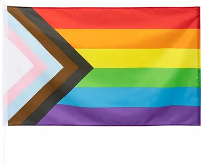Produktbild von Fahne Regenbogen Progress