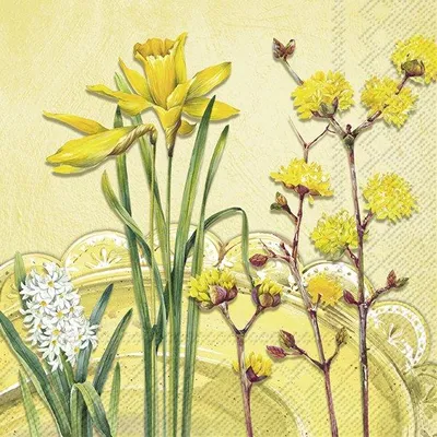 Image de IHR NANCY jaune grandes serviettes 33x33 cm