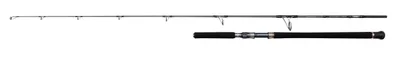 Produktbild von PENN Battalion Solid Offshore 2.28m 30-180g - Spinnrute