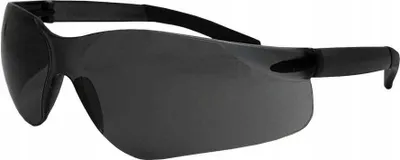 Immagine prodotto di Occhiali di sicurezza / Grigio-nero / OO-GEORGIA-S