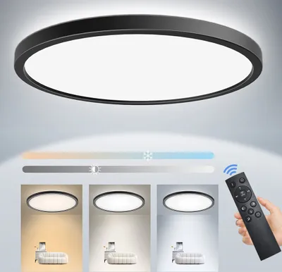 A ceiling light fixture with a remote control and color temperature options.