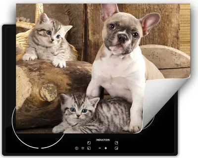 Produktbild von DarHaus Herdabdeckplatte 70x52 cm Anti Rutsch Matte Aufrollbar, Katzen und Hunde