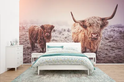 Produktbild von MuchoWow® Fototapete für Wohnzimmer oder Schlafzimmer Wandtapete Vinyl Motivtapete Schottische Highlander - Schnee - Sonne - 400x240 cm - Gemustert