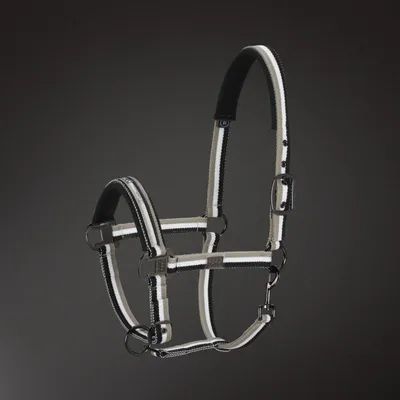 Produktbild von Eskadron Halfter Platinum " PINBUCKLE " Farbe - schwarz Größe - Pony2