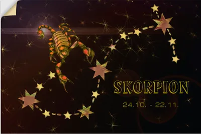 Produktbild von ARTland Wandbild, selbstklebend Sternzeichen - Skorpion Größe: 30x20 cm