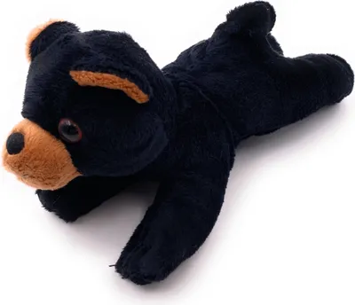 Produktbild von Onwomania Plüschtier Stofftier Kuscheltier Braunbär Wildtier Bär schwarz Länge 17 cm Schwarz