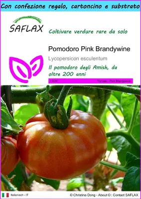 Immagine prodotto di SAFLAX Set regalo - Pomodoro Pink Brandywine - 10 semi - Lycopersicon