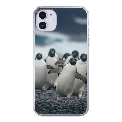Produktbild von MuchoWow® Handyhülle Schutzhülle Hülle für iPhone 11 Adeliepinguine am Strand Silikon Softcase Handy Hülle - Handytasche