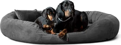 Produktbild von tierlando® Orthopädisches Hundebett Sammy VISCO | High-Tech-Velours | L - XXXXL - Größe: 140x105cm | Farbe: 02 Graphit