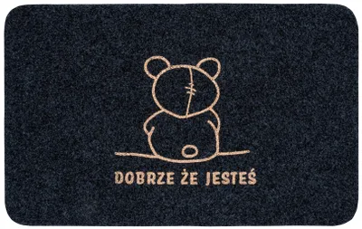 Zdjęcie produktu dla Wycieraczka at home dobrze że jesteś 50×80 cm