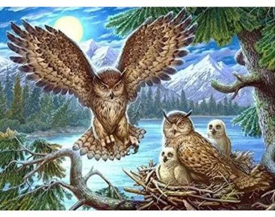 Produktbild von 40x30 Diamanten Malerei Zum Selbermachen DIY Diamond Painting Eulennest