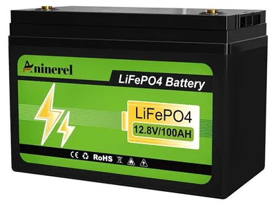 Immagine prodotto di Batterie da 12V, materiale LiFePO4, BMS integrato, 12V 100Ah