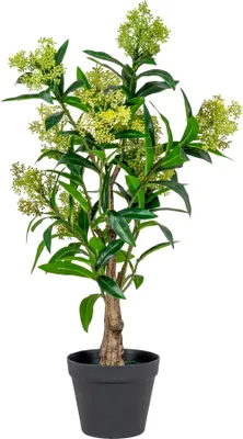 Zdjęcie produktu dla Træ Sztuczna roślina H75 cm zielona.