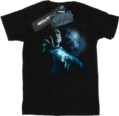 Produktbild von Harry Potter - T-Shirt für Herren BI29238 (3XL) (Schwarz)