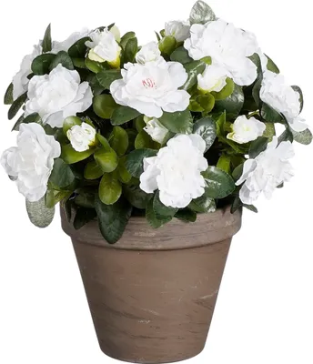 Produktbild von Mica Decorations Azalee Kunstpflanze im Blumentopf Stan - H31 x Ø26 cm - Weiß