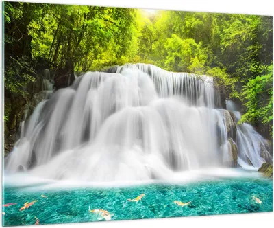 Produktbild von Bilder auf glas - Park natur landschaft - 100x70cm - Glasbilder - Wandbilder - Kunstdruck - zum Aufhängen bereit - Wanddekoration aus Glas - Glas Bilder - Wandbild auf Glas - GAA100x70-2511