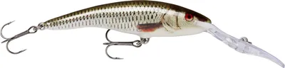 Produktbild von Rapala TDD09, 13 g, 9 cm, 6 m
