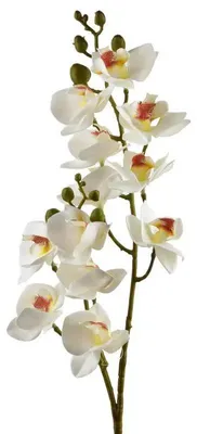 Zdjęcie produktu dla Viridis Kwiat Sztuczny Storczyk 65Cm