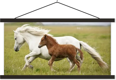 Produktbild von MuchoWow® Textilposter Pferde - Tiere - Gras 150x75 cm mit schwarzem Rahmen - Posterleiste