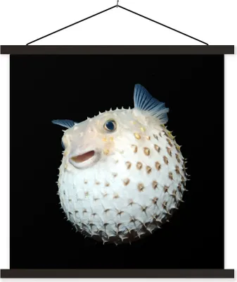 Produktbild von MuchoWow® Textilposter Fische - Meerestiere - Porträt 120x120 cm mit schwarzem Rahmen - Aufhängungsset