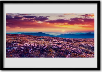 Produktbild von Bild 100x70 MDF-Rahmen Wandkunst Wiese Berg Natur Blumen