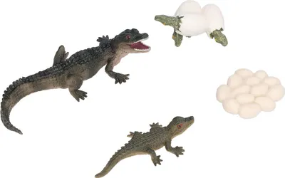 Zdjęcie produktu dla Simulation Tier Krokodil Wachstumszyklus Modell Prozess Kinder Wissenschaft Bildung Lernspielzeug