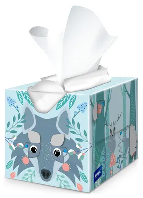Image de Tempo, boîte de mouchoirs pour enfants