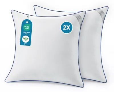 Image de Coussins BedStory, 60 x 60 cm, lot de 2, design classique, hypoallergéniques, doux et respirants