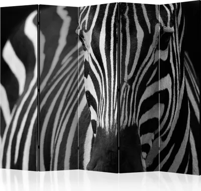 Produktbild von 5-teiliger Doppelseitiger Vlies Paravent - White with black stripes II 225x172 cm g-C-0215-z-c