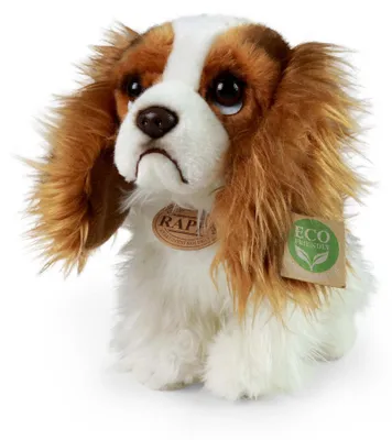 Obrázok produktu pre Plyšový psík King Charles španiel, 25 cm, ekologický