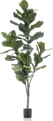 Zdjęcie produktu dla Figa szmaragdowa Ficus lyrata sztuczna 160 cm