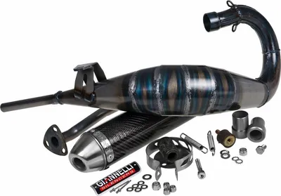 Produktbild von Auspuffanlage Giannelli Enduro mit Zulassung, Carbon für MBK X-Limit / Yamaha DT R 98-02