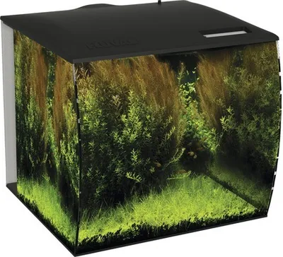 Produktbild von Aquarium Fluval Flex 57 l mit LED-Beleuchtung, Filter, Pumpe ohne Unterschrank schwarz