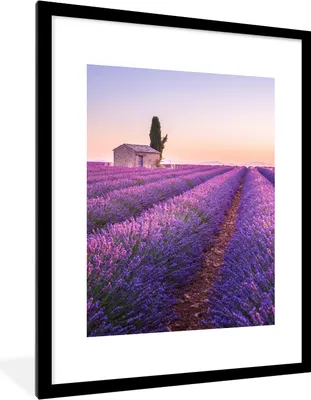Produktbild von MuchoWow® Gerahmtes Poster Lavendel - Sonnenuntergang - Lila - Blumen 60x80 cm - Poster mit Schwarzem Bilderrahmen Wandposter Rahmen Foto Bilder - Wohnzimmer - Dekorationen - Prämie